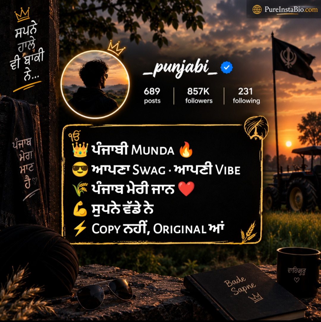 Instagram bio Punjabi Stylish