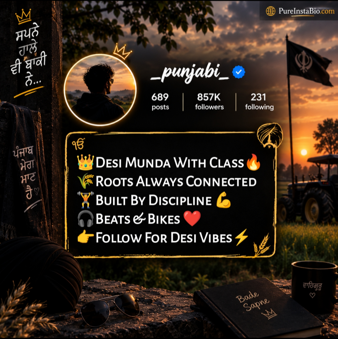 Instagram bio in punjabi for boy attitude