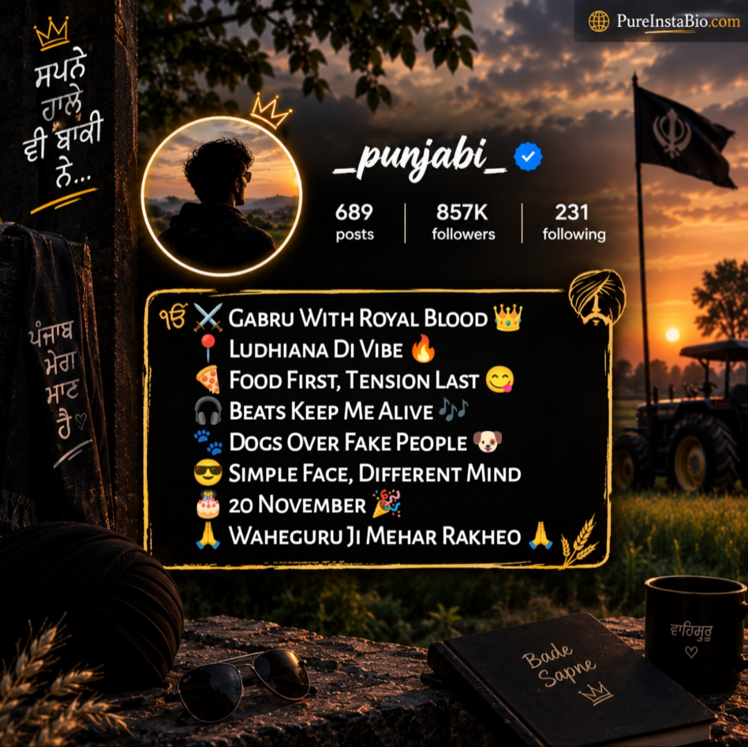 Instagram bio in punjabi for boy