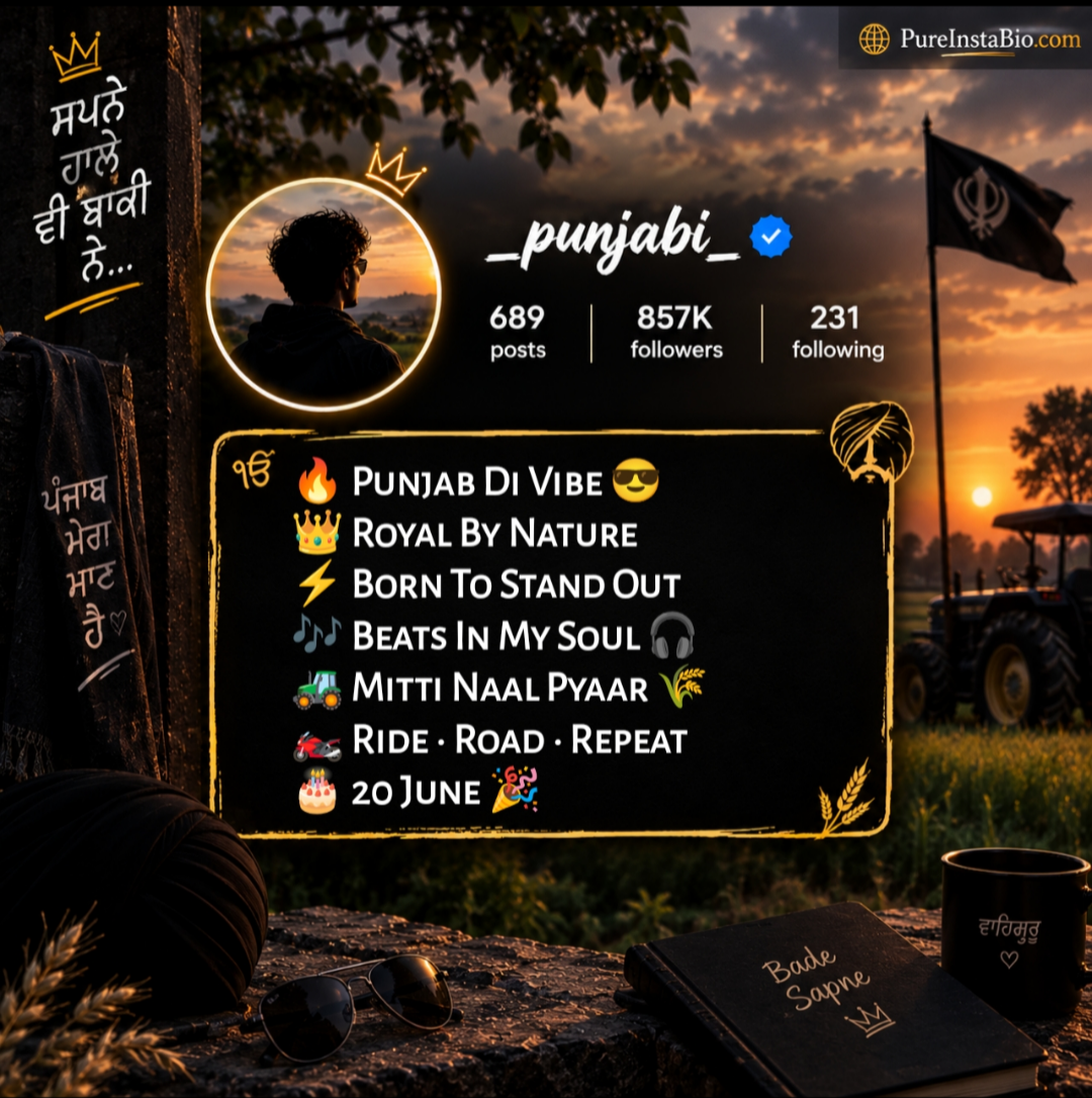Instagram Bio In Punjabi
